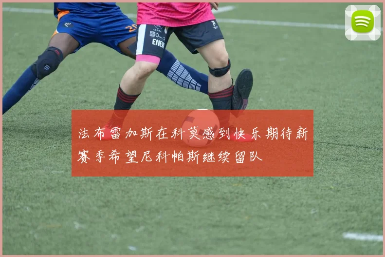 法布雷加斯在科莫感到快乐期待新赛季希望尼科帕斯继续留队